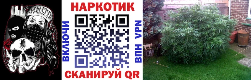 Виды наркотиков купить Алдан Амфетамин  КОКАИН  Кетамин  Бошки Шишки  Галлюциногенные грибы  Alpha-PVP  ГАШИШ 