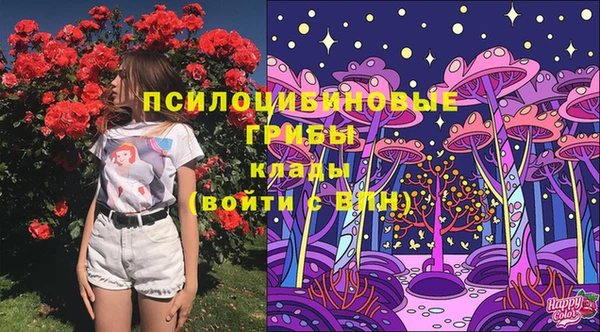 mix Абаза