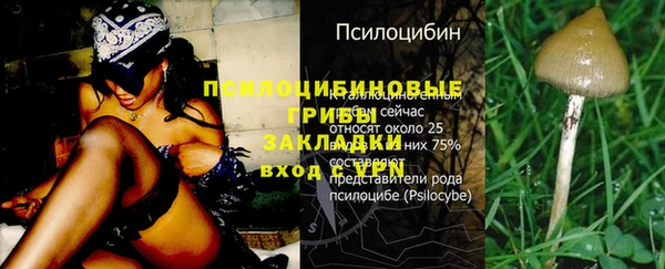 MESCALINE Нягань