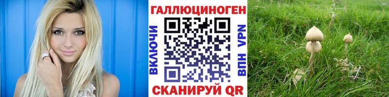 Галлюциногенные грибы мицелий наркошоп Алдан